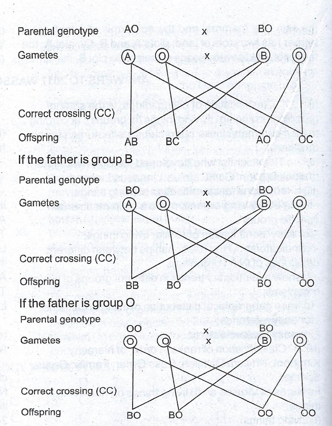 2017 WAEC Biology Theory (a) A Child Belongs To Blood Group 0 And The ...